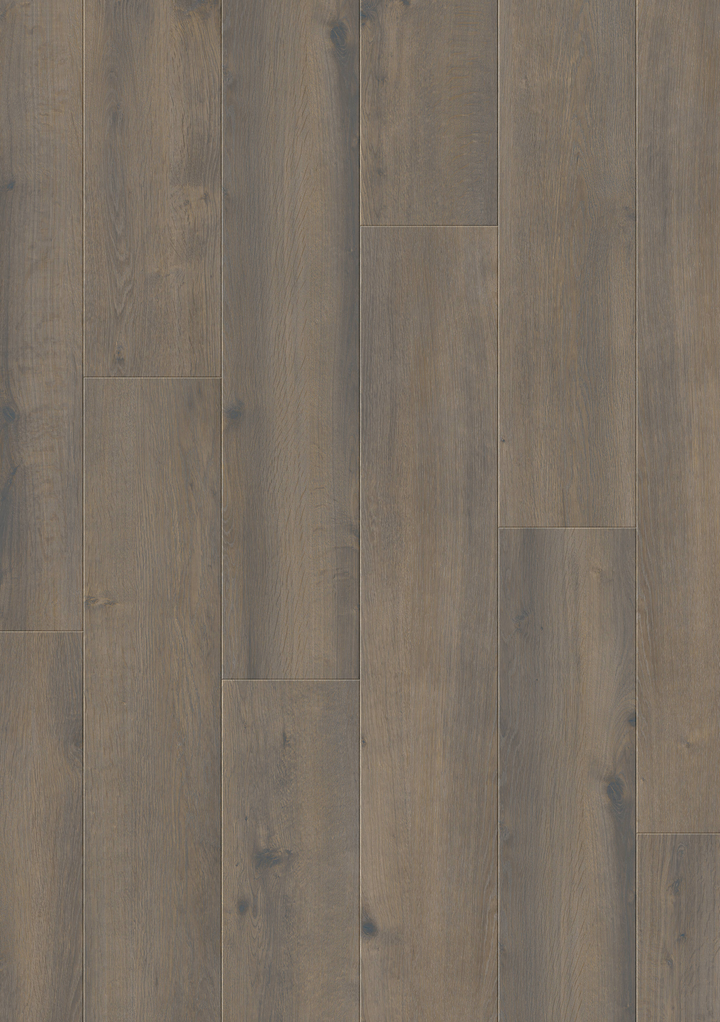 て様 ❹ccナチュラル md_NAT_833_Xplora_Next_8839_Oa