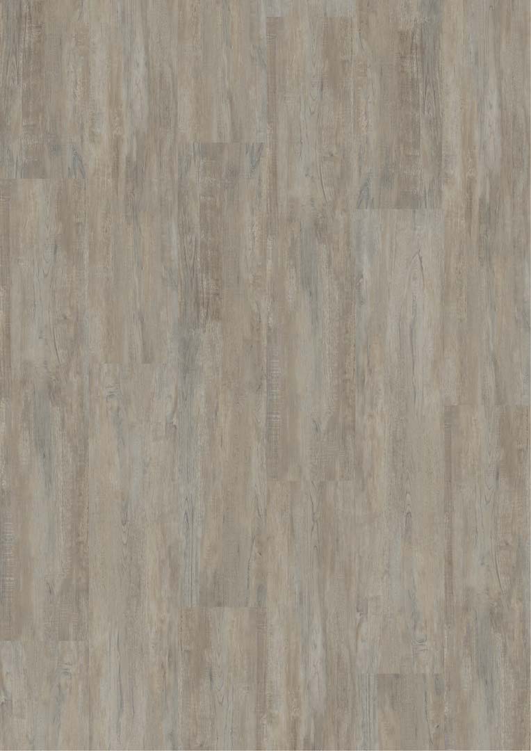 Ziro Klebevinyl Basic KF Erle Jesolo Landhausdiele