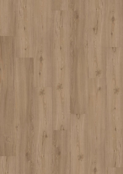 JOKA Designboden 555 Click Spring Oak LHD