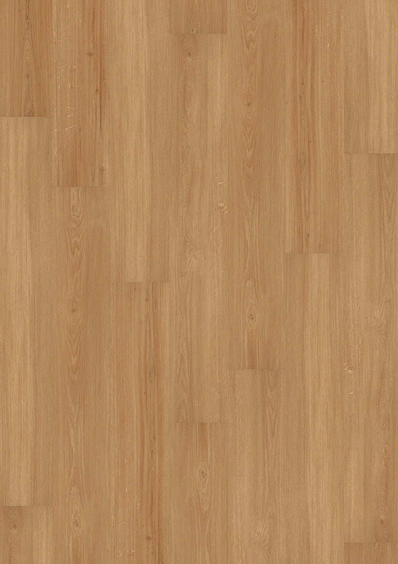 JOKA Klebevinyl Sinero 734 Incredible Light Oak LHD