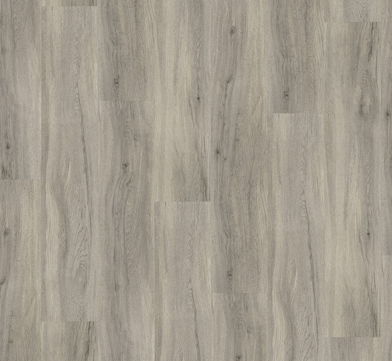 PARADOR Vinylboden Basic 30 Eiche pastellgrau LHD