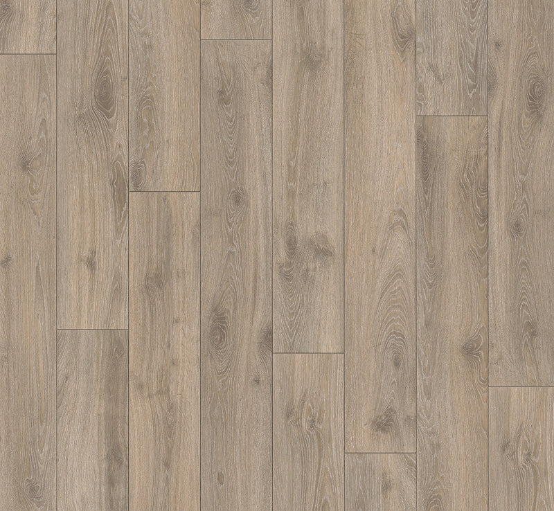 PARADOR Laminat Classic 1050 Eiche Tradition grau-beige LHD gefast