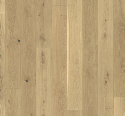 PARADOR Parkett Basic 11-5 Eiche Landhausdiele naturgeölt weiß