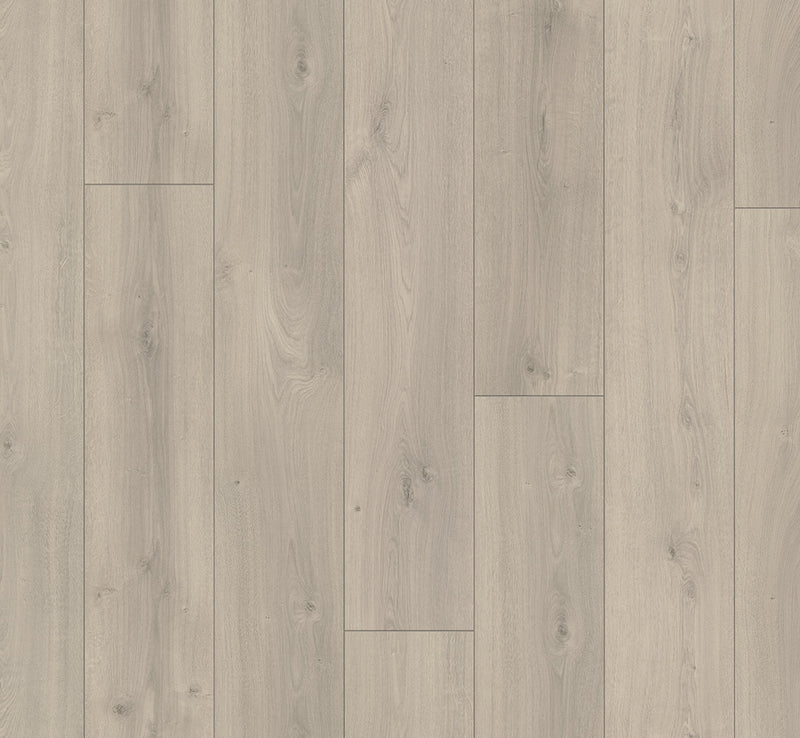 PARADOR Laminat Trendtime 6 Schlossdiele Eiche Mistral grau gefast
