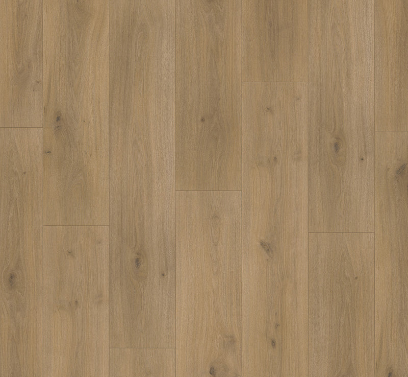 PARADOR Laminat Basic 600 Breitdiele Eiche Horizont natur LHD gefast