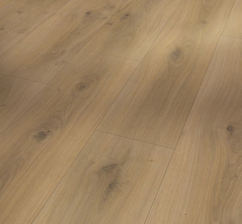 PARADOR Laminat Basic 600 Breitdiele Eiche Horizont natur LHD gefast