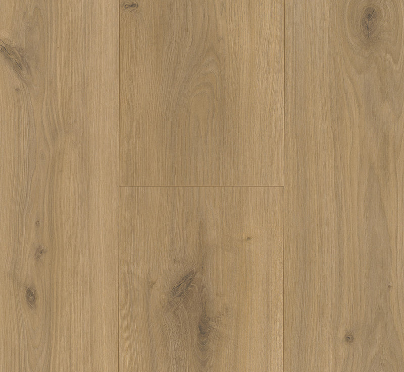 PARADOR Laminat Basic 600 Breitdiele Eiche Horizont natur LHD gefast
