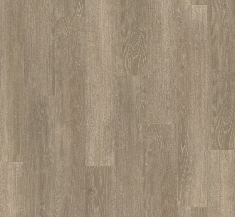 PARADOR Laminat Classic 1050 Eiche Skyline perlgrau LHD