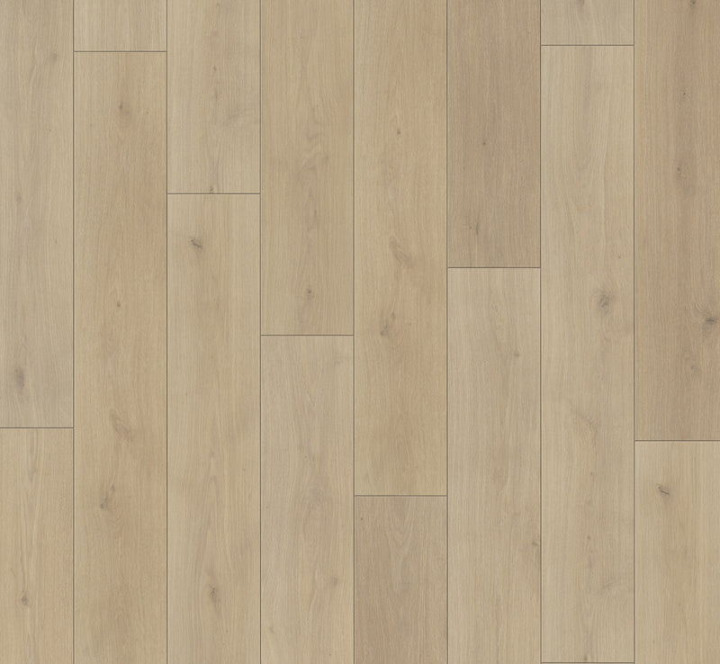 PARADOR Laminat Classic 1050 Eiche Natural Mix hell LHD gefast
