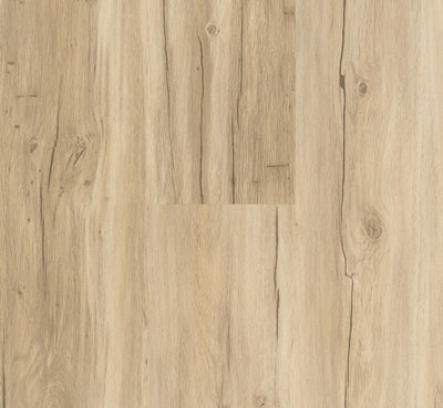 PARADOR Vinylboden Basic 30 Eiche Memory geschliffen LHD