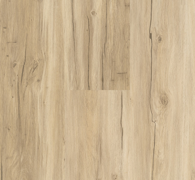 PARADOR Vinylboden Basic 30 Eiche Memory geschliffen LHD