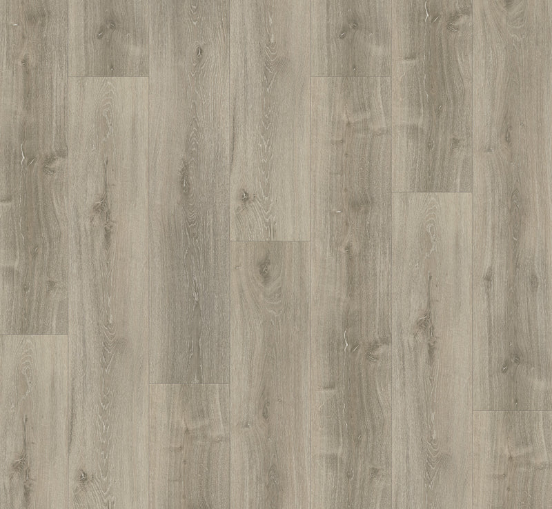 PARADOR Vinylboden Basic 5.3 Eiche Grau geweißt LHD gefast