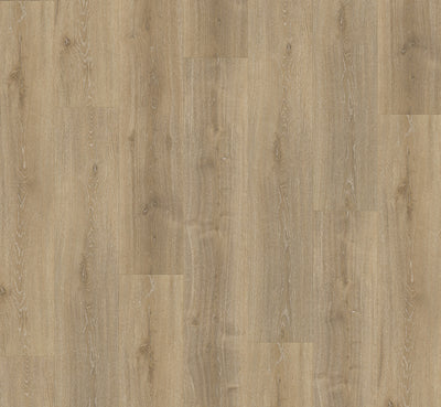 PARADOR Vinylboden Basic 5.3 Eiche Royal hell gekälkt LHD gefast