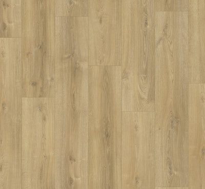 PARADOR Laminat Basic 600 Breitdiele Eiche Nova gekälkt LHD gefast