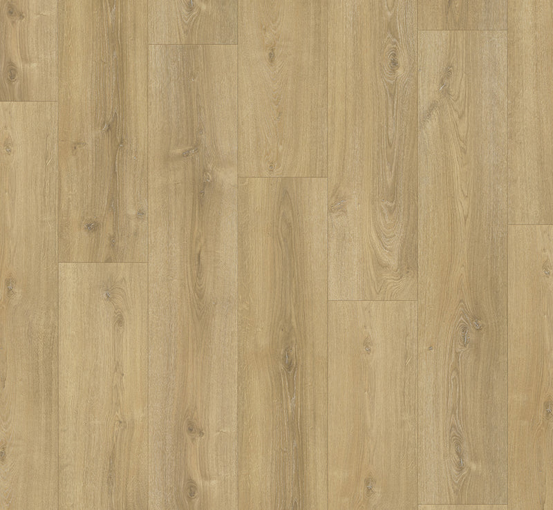 PARADOR Laminat Basic 600 Breitdiele Eiche Nova gekälkt LHD gefast