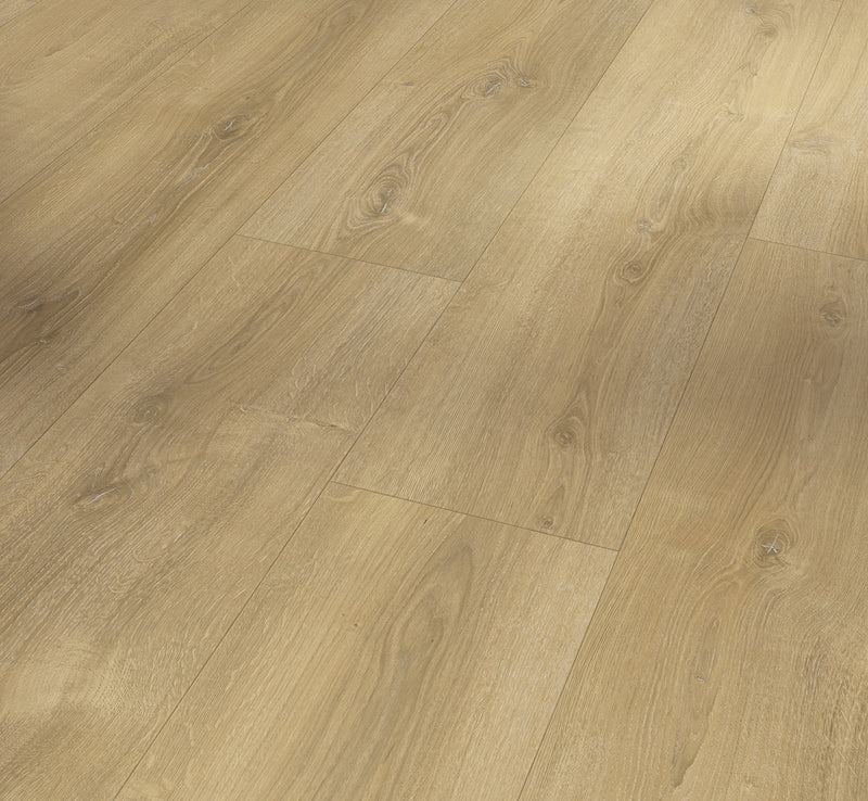 PARADOR Laminat Basic 600 Breitdiele Eiche Nova gekälkt LHD gefast