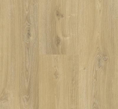 PARADOR Laminat Basic 600 Breitdiele Eiche Nova gekälkt LHD gefast