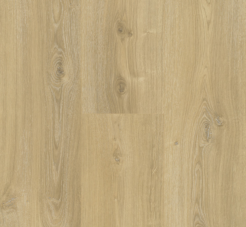 PARADOR Laminat Basic 600 Breitdiele Eiche Nova gekälkt LHD gefast