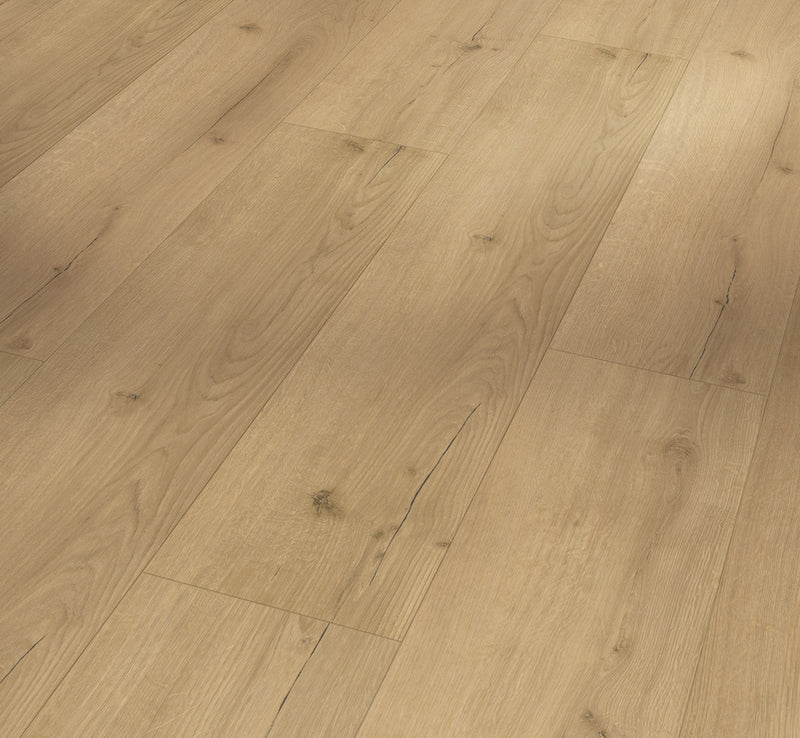 PARADOR Vinylboden Basic 5.3 Eiche Infinity natur LHD gefast