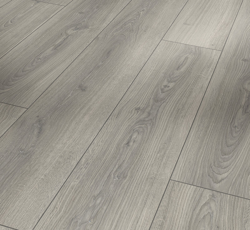 PARADOR Laminat Trendtime 6 Schlossdiele Eiche Studioline lichtgrau gefast